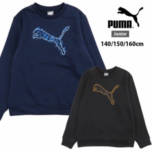 PUMA ACTIVE SPORTSクルースウェット キッズ・ジュニア 140 150 160 プーマ アクティブスポーツ 677719 黒 紺 青 秋 冬 裏毛 トレーナー 