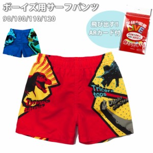 【メール便送料無料】キッズ用恐竜柄サーフパンツ水着 90 100 110 120 37955533 男の子用 ARカード付 学研の図鑑LIVE No.sw3148