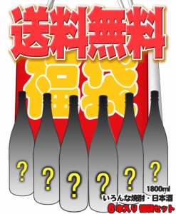 ■【送料無料】いろんな焼酎が入った1500〜1800mlサイズ 6本入福袋【定価18,000円相当】■