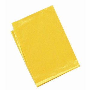 アーテック 黄 カラービニール袋(10枚組) 45532