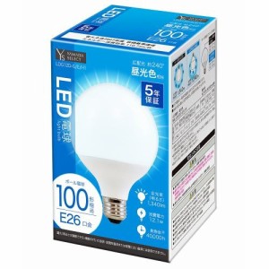 YAMADA SELECT(ヤマダセレクト) ボール型LED電球 100W 昼光色 口金E26 LDG12D-G/E/H1