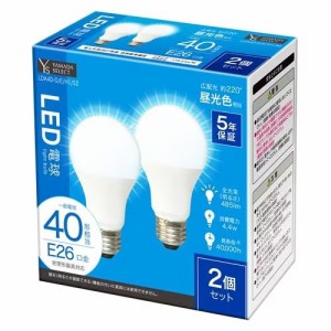 ヤマダセレクト LED電球 40W 昼光色 口金E26 2個入り 昼光色 YAMADA SELECT　LDA4D-G/E/H1/S2