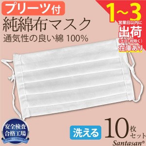 マスク 在庫あり 夏用 即納 10枚セット 涼しい 洗える 夏 夏用マスク 布マスク プリーツ 男女兼用 大人用 白マスク 綿100％ コットン 布