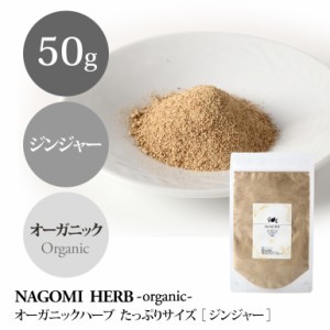 オーガニック・ハーブ ジンジャー 粉末 50g 生姜 しょうが ショウガ ハーブティー ハーブ ハーブティ 茶葉 お茶 ドライハーブ 有機JAS 無