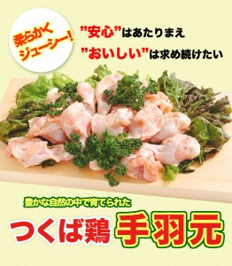 【送料無料】つくば鶏 手羽元 4kg(2kg2パックでの発送)(茨城県産)(特別飼育鶏)柔らかくジューシーな味 唐揚げや煮るのにも最適な鳥肉 メ