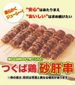 国産 つくば鶏 砂肝串 40ｇ×20本　冷凍 焼き鳥 焼鳥 やきとり