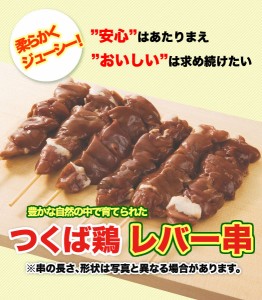 国産 つくば鶏 レバー串(肝) 40ｇ×20本　冷凍 焼き鳥 焼鳥 やきとり