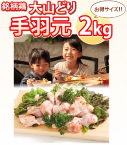 大山どり 手羽元 2kg(1パックでの発送) (im)