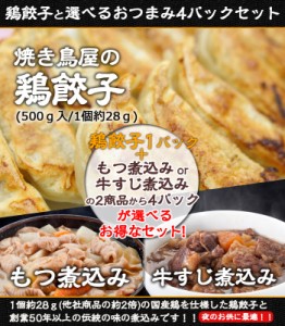 【送料無料】焼き鳥屋の鶏餃子(500g 一個約28g)と選べるおつまみ4パックセット ビール 酒のつまみに 訳あり お惣菜 お弁当 業務用 お試し