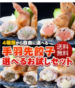 【送料無料】手羽先餃子選べるセット(5本×5P)25本 鍋や焼くだけの簡単調理 訳あり お惣菜 お弁当 メガ盛り お試し 福袋 パーティー メガ