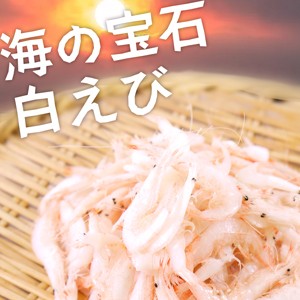 白えび 500g 海の宝石【生食可能】【台湾産】【白エビ 白海老 シロエビ しろえび】(nh169398)