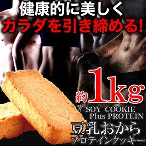 【送料無料】【同梱不可】ソイプロテインplus 豆乳おからプロテインクッキー1kg 本格派ダイエッターをサポート (SM00010319)