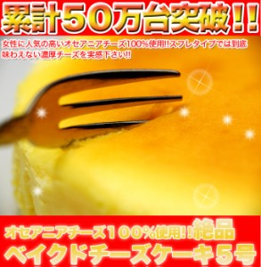 【送料無料】【同梱不可】絶品ベイクドチーズケーキ５号 (SM00010090)