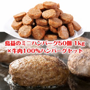 【送料無料】朝食、夕食お試し ハンバーグセット(ミニハンバーグ50個 1kg×牛肉100％ 焦げ目付きハンバーグ150g×3パック)レンジ調理OK 