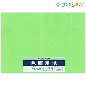 マルアイ 色画用紙 四ッ切 (390mm×540mm) 5枚入り いろがようし 工作 黄緑 工作紙 図面 工作 版画 ポスター 台紙 表紙 アート用品 画材