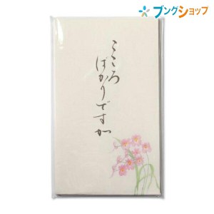 フォロン ポチ袋 ぽち袋 こころばかりですが NB社 封筒 祝儀袋 おとしだま おとし玉袋 初夢 お正月アイテム お年玉 心づけ お札三ッ折り