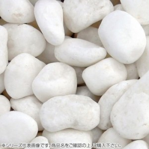 マツモト産業 ヤマト天然砂利・玉砂利 白仙 2分(6〜8mm)内外 20kg 4549081526666