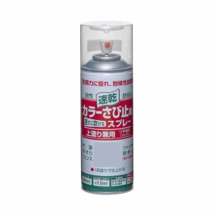 ニッペ　ホームペイント　カラーさび止めスプレー　300ml　12本入 4990911857502