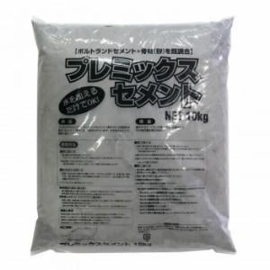 家庭化学工業 プレミックスセメント 10kg 4905488000060