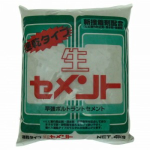 家庭化学工業 速乾タイプ生セメント 4kg グレー 4905488123653