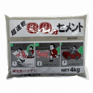 家庭化学工業 超速乾30分セメント 4kg グレ- 4905488301044