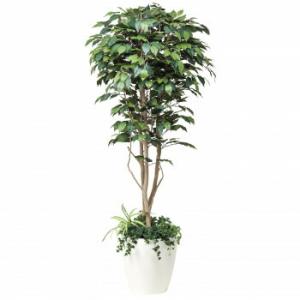 光触媒 人工観葉植物 フェイクグリーン フィカスベンジャミン 1.2m 