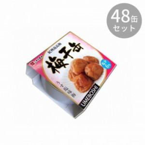 紀州南高梅 梅干缶 うす塩味梅 塩分6％ ×48缶セット 