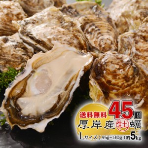 北海道 厚岸産 殻付き 生牡蠣 45個  Lサイズ（95gから130g）【冷】/ 送料無料  同梱不可商品 産地直送 発泡スチロール梱包