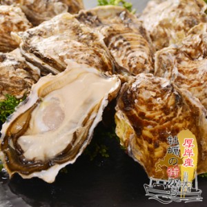 北海道 厚岸産 殻付き 生牡蠣 10個  Lサイズ（95gから130g）【冷】 / 送料無料  同梱不可商品 産地直送 発泡スチロール梱包