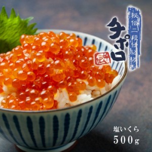 秘伝二段仕込み チポロ いくら塩漬 500g / 送料込 北海道産 秋鮭 木箱 塩いくら ギフト 