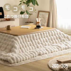 こたつ布団 もこもこ 洗える 260×205 静電気防止 とろとろ ふわふわ ふわもこ 掛け布団 ラグジュアリー おしゃれ マイクロファイバー　