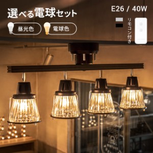 ライト おしゃれ リモコン 照明器具 ライト リビング 照明 間接照明 天井照明 ヴィンテージ アンティーク レトロ インダストリアル