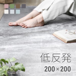 ラグ 北欧 低反発 200×200 ラグマット 送料無料 rug 低反発ラグ 滑り止め 防音マット ホットカーペット ラグ カーペット シャギーラグ 