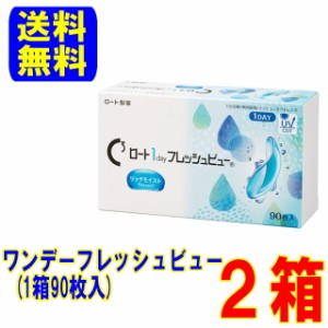 ワンデーフレッシュビュー リッチモイスト 2箱（1箱90枚入）送料無料 1日使い捨て コンタクトレンズ ワンデー ロート製薬