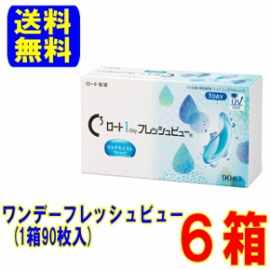 ワンデーフレッシュビュー リッチモイスト 6箱（1箱30枚入）送料無料 1日使い捨て コンタクトレンズ ワンデー コンタクト ロート製薬