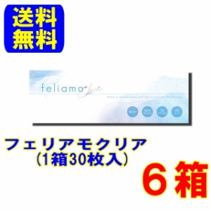 feliamo Clear フェリアモクリア ６箱 送料無料 1日使い捨て コンタクトレンズ コンタクト ワンデー 高含水55%  白石麻衣