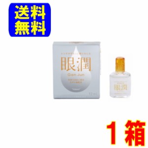 眼潤　(東レ) 12ml 1箱　送料無料 ポスト便 装着液　ハードレンズ用 ハードコンタクト コンタクト 