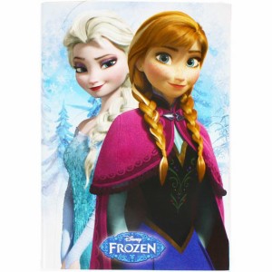 ディズニー ダイカットノート B5 アナとエルサ アナと雪の女王 