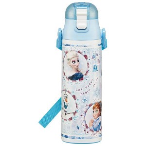  アナと雪の女王 水筒 ステンレスボトル 580ml 保冷 ワンプッシュ 女の子 子供 子ども キッズ ディズニー キャラクター スケーター 