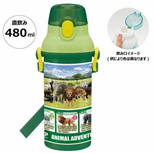  アニア抗菌 水筒 プラボトル 480ml 抗菌 食洗機対応 直飲み ワンタッチボトル かわいい 子ども キッズ 男の子 キャラクター スケーター 