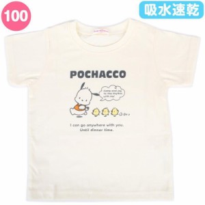 ポチャッコ キッズ Tシャツ 100cm 吸水速乾 フキダシ 半袖  子供 男の子 サンリオ sanrio キャラクター