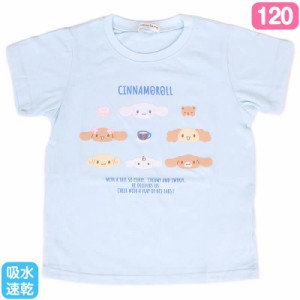 シナモロール キッズ吸水速乾Tシャツ ライトブルー 120cm 女の子 サンリオ sanrio キャラクター