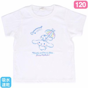 シナモロール キッズ吸水速乾Tシャツ ホワイト 120cm 女の子 サンリオ sanrio キャラクター