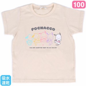 ポチャッコ キッズ吸水速乾Tシャツ 100cm 子供 子ども かわいい サンリオ sanrio キャラクター