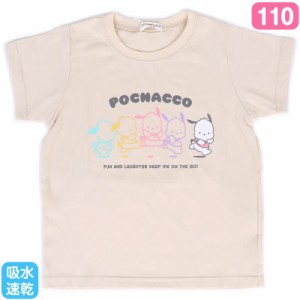 ポチャッコ キッズ吸水速乾Tシャツ 110cm 子供 子ども かわいい サンリオ sanrio キャラクター