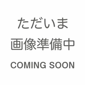 シナモロール アイス形ペンケース ペンポーチ サンリオ アイスパーティシリーズ