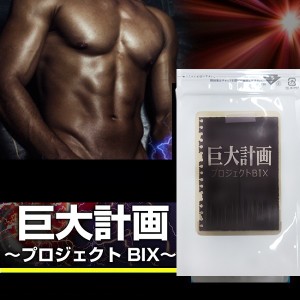 メール便OK!!大人気メンズサプリ【巨大計画〜プロジェクト ＢＩＸ〜】送料無料2個セット