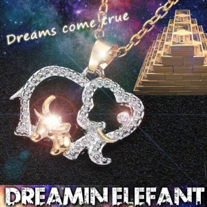 メール便OK!!至極の金運アイテム【Dreamin Elefant ドリーミンエレファント】送料代引き無料5個セット