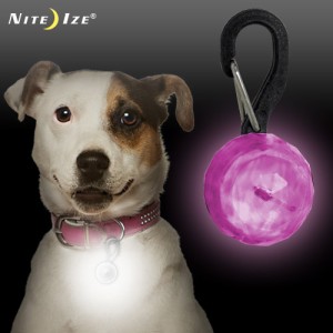 ナイトアイズ ペットリット ジュエルピンク ■ お出かけ お散歩 グッズ 犬 ライト NITE IZE PETLIT