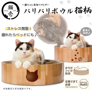 猫壱 バリバリボウル 猫柄